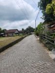 thumbnail-pekarangan-selatan-uii-candi-pandanaran-6