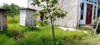 Djual tanah di kapling kelapa,desa segarajaya,kec,tarumajaya,bks utara