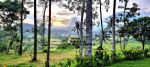 thumbnail-13-hektar-tanah-view-laut-sawah-gunung-dekat-tirta-gangga-karangasem-9