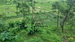 thumbnail-13-hektar-tanah-view-laut-sawah-gunung-dekat-tirta-gangga-karangasem-12