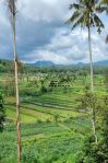 thumbnail-13-hektar-tanah-view-laut-sawah-gunung-dekat-tirta-gangga-karangasem-10