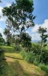 thumbnail-13-hektar-tanah-view-laut-sawah-gunung-dekat-tirta-gangga-karangasem-1