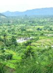 thumbnail-13-hektar-tanah-view-laut-sawah-gunung-dekat-tirta-gangga-karangasem-11