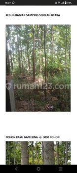 Tanah Rancakalong Sumedang Luas 3910 m²