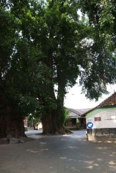 Bangunan Rumah Klasik Di Tengah Kota, Kotagede, Yogyakarta