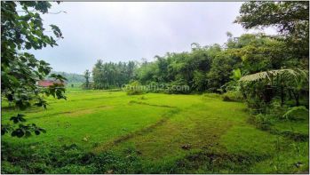 Peruntukan Guest House Area Wisata Gamplong Studio