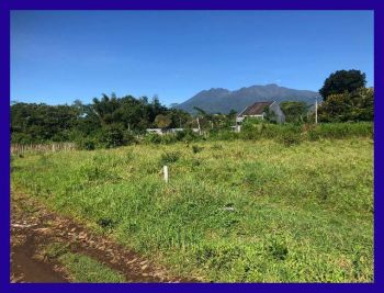 Tanah Dijual Kota Malang Layak Bangun Kost Dekat Kampus UB