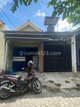 Disewakan Rumah & Toko Murah Tengah Kota Jember