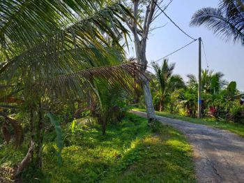 tanah kebun murah los sungai di area villa di bali