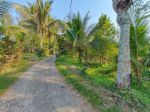 thumbnail-tanah-kebun-murah-los-sungai-di-area-villa-di-bali-2