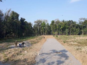 PROMO: Buy 1 Get 1 Tanah Pekarangan, SHM Pekarangan