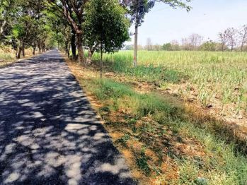 JUAL TANAH INDUSTRI KRIAN MOJOKERTO