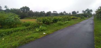 Dijual Tanah Sawah Selatan Puskesmas Turi
