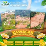 thumbnail-promo-akhir-tahun-kavling-agrowisata-durian-terbesar-bogor-timur-3