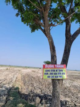 Dijual Sawah Subur, Panen 3x
