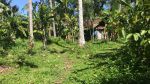 thumbnail-tanah-kebun-view-sawah-terasering-yellow-zona-di-bali-2