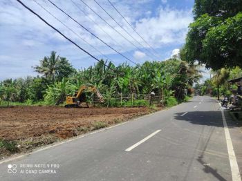 Tanah Kavling Dekat Jalan Raya Utama Temesi Gianyar