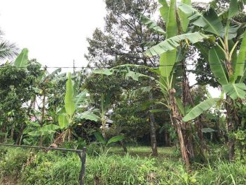 Dijual Murah Tanah Siap Bangun Perum Graha Dewata Ladungsari Malang