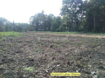 Dekat Stadion Pakansari, Tanah Kapling Bogor