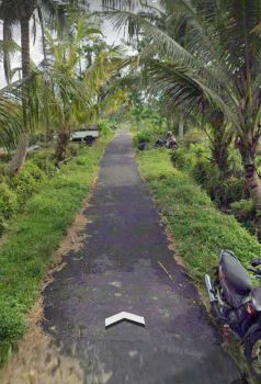 DIJUAL TANAH SAWAH COCOK HUNIAN, VILLA, HOMESTAY, TANI, INVES, JK11513