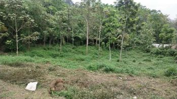 Sell Tanah: Tanah strategis