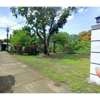 Tanah Yogyakarta Sleman 300m Samsat Sleman Cocok Untuk Hunian