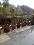 thumbnail-di-jual-rumah-daerah-bogor-10