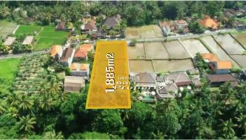 UBUD | 1885 m2 | Tanah Los Pinggir Sungai Di Tepi Jalan Tirta Tawar