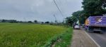 thumbnail-dijual-tanah-zona-industri-nempel-jalan-raya-jonggol-cileungsi-murah-2