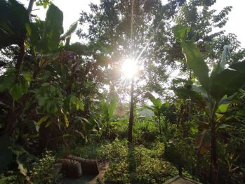 BU Dijual Tanah 2729m2 SHM Klapanunggal Bojong, Ligarmukti Kab. Bogor