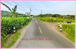 thumbnail-100-jutaan-tanah-murah-imogiri-bantul-dekat-smpn-3-pleret-4