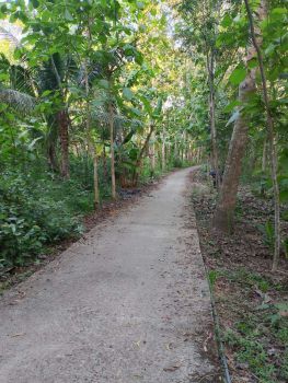 Tanah Dijual dekat Pasar Krendetan Purworejo