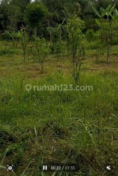 Tanah di Payangan, Gianyar 15.150 m²