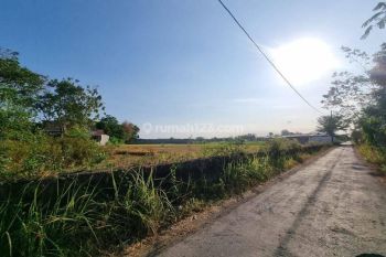 Jl Berbah Kalasan Jogja, Tanah SHM Cocok Hunian Bisa Tempo