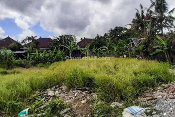 Tanah Dijual Hak Milik Di Bali Canggu Padang Linjong Vb245