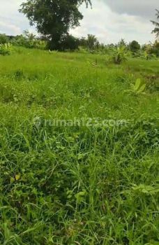 Hot List Di Jual Tanah Lokasi Kaba Kaba Kediri Tabanan
