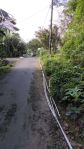 thumbnail-tanah-murah-shm-pekarangan-250-ribu-permeter-di-turi-sleman-1