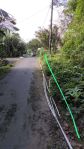 thumbnail-tanah-murah-shm-pekarangan-250-ribu-permeter-di-turi-sleman-0