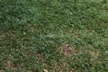 Kavling View Sungai Fasum Sangat Luas Asri Murah Avani Bsd City