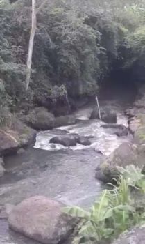 Tanah los sungai ubud