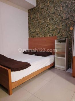 Apartemen  furnished Tree Park bsd tangerang
