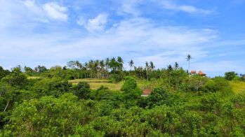 Dijual tanah di Sukawati view cantik jungle, lembah, dan sungai