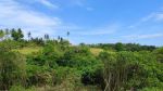 thumbnail-dijual-tanah-di-sukawati-view-cantik-jungle-lembah-dan-sungai-5