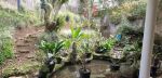 thumbnail-rumah-siap-huni-villa-parahyangan-10