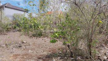 Dijual Tanah Lingkungan Villa Elit di Pecatu