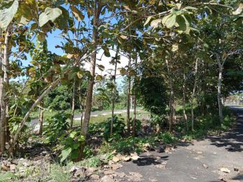 Dijual tanah 3 are full view airport dan toll