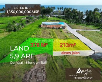 Dijual 2 Plot Tanah Hak Milik Seluas 5,9 Are Dengan View Sawah Laut di Kawasan