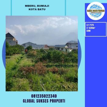 Kebun Jeruk Murah di mberu Bumiaji Kota Batu*