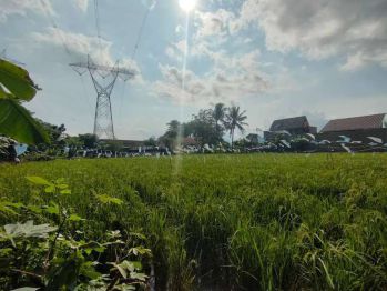 TANAH SAWAH COCOK UNTUK INDUSTRI LT 5361 M