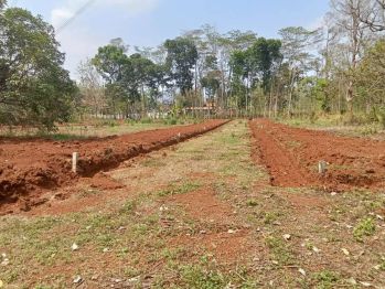 [TANAHMURAHSEMARANG] TANAH MURAH MIJEN DEKAT BSB